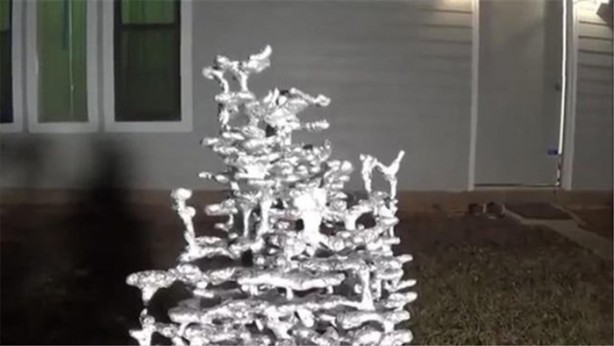 Foto - Karınca yuvasına erimiş alüminyum döktüler