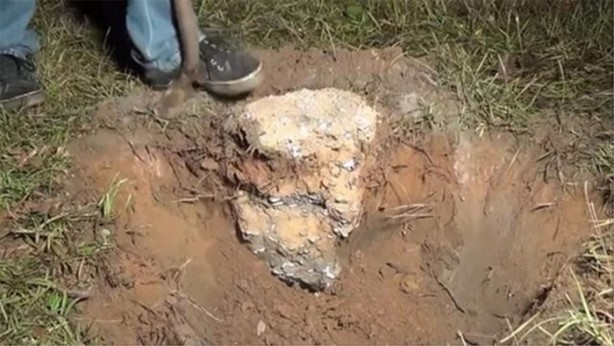 Foto - Karınca yuvasına erimiş alüminyum döktüler