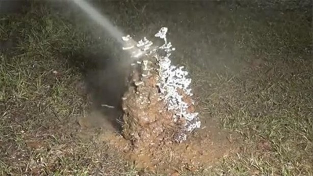 Foto - Karınca yuvasına erimiş alüminyum döktüler