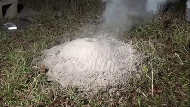 Foto - Karınca yuvasına erimiş alüminyum döktüler