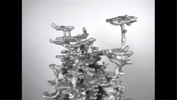 Foto - Karınca yuvasına erimiş alüminyum döktüler