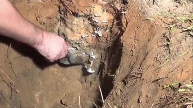 Foto - Karınca yuvasına erimiş alüminyum döktüler