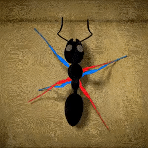 Foto - Karıncalar hakkında duymadığınız ilginç bilgiler