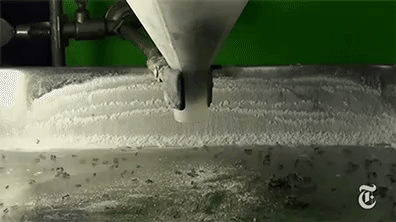 Foto - Karıncalar hakkında duymadığınız ilginç bilgiler