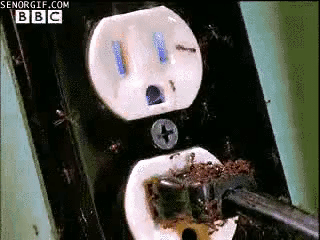 Foto - Karıncalar hakkında duymadığınız ilginç bilgiler