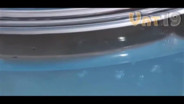 Foto - Karıncalar nasıl yuva yapıyor? İşte cevabı...