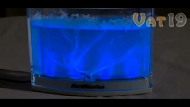 Foto - Karıncalar nasıl yuva yapıyor? İşte cevabı...