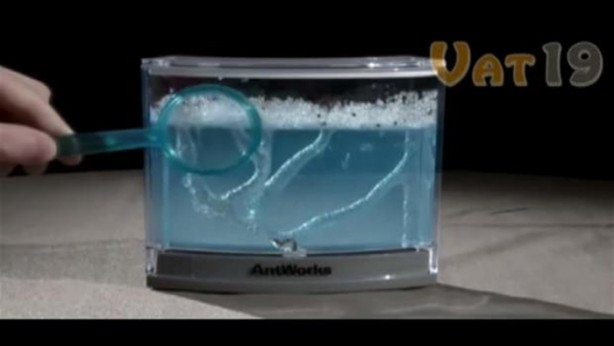 Foto - Karıncalar nasıl yuva yapıyor? İşte cevabı...