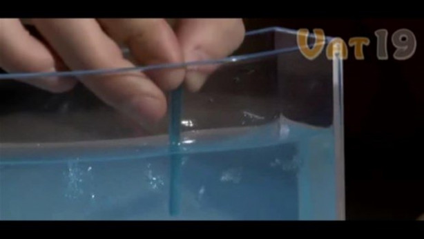 Foto - Karıncalar nasıl yuva yapıyor? İşte cevabı...