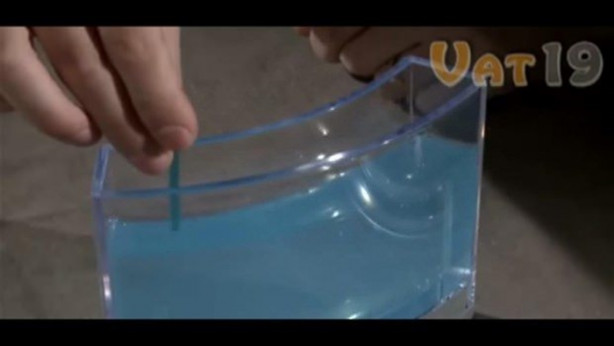 Foto - Karıncalar nasıl yuva yapıyor? İşte cevabı...