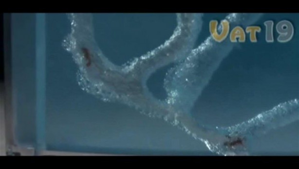 Foto - Karıncalar nasıl yuva yapıyor? İşte cevabı...