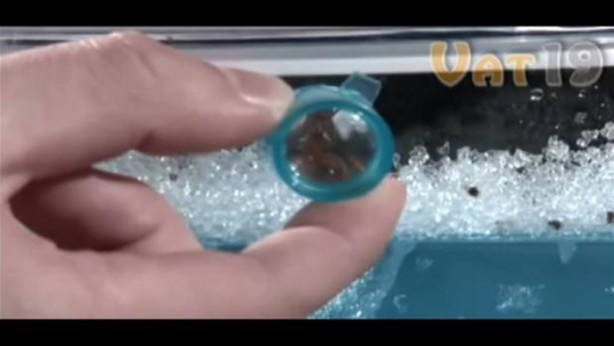 Foto - Karıncalar nasıl yuva yapıyor? İşte cevabı...