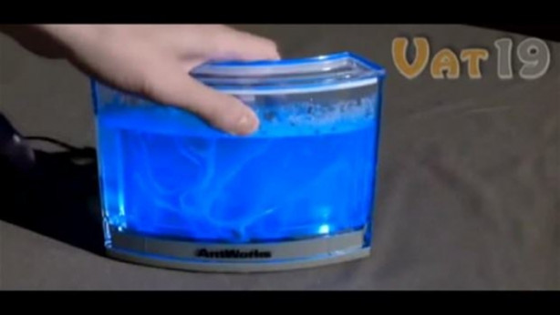 Foto - Karıncalar nasıl yuva yapıyor? İşte cevabı...