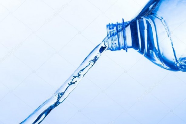 Foto - Karıncaları doğal yollarla uzaklaştırmak çok kolay