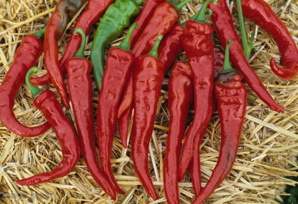 Foto - Karıncaları doğal yollarla uzaklaştırmak çok kolay