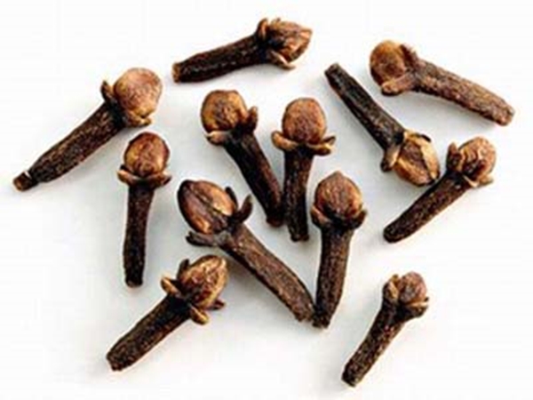 Foto - Karıncaları uzaklaştırmanın doğal yolu