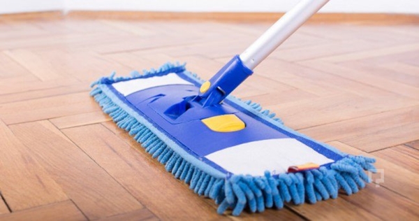 Foto - Karıncaları uzaklaştırmanın doğal yolu