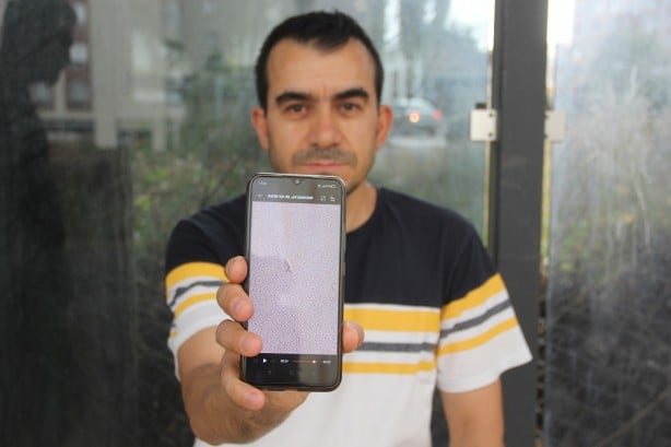 Foto - Karıncanın yaptığını gören vatandaş şok oldu! Yok böyle bir olay