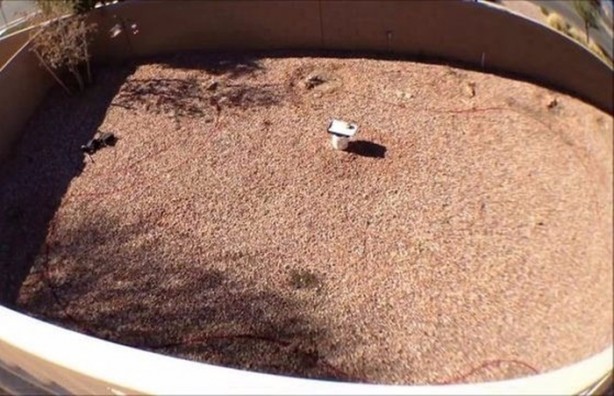 Foto - Karısı evde yokken öyle bir şey yaptı ki!