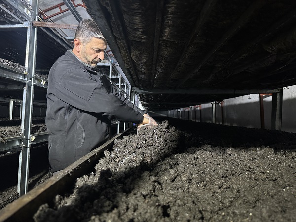 Foto - Kariyerini bıraktı memleketine döndü! Cesur davrandı tonlarca ürün yetiştirdi