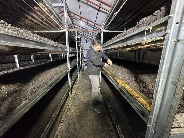 Foto - Kariyerini bıraktı memleketine döndü! Cesur davrandı tonlarca ürün yetiştirdi