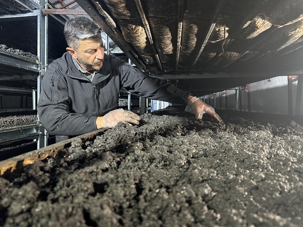 Foto - Kariyerini bıraktı memleketine döndü! Cesur davrandı tonlarca ürün yetiştirdi