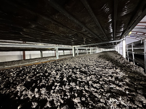 Foto - Kariyerini bıraktı memleketine döndü! Cesur davrandı tonlarca ürün yetiştirdi