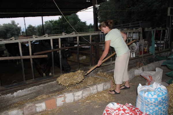 Foto - Kariyerini elinin tersiyle itti! İngiliz kadın Türkiye'ye geldi bakın ne yapıyor