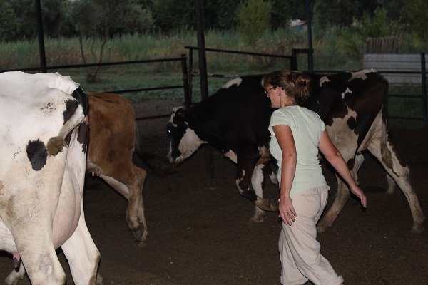 Foto - Kariyerini elinin tersiyle itti! İngiliz kadın Türkiye'ye geldi bakın ne yapıyor