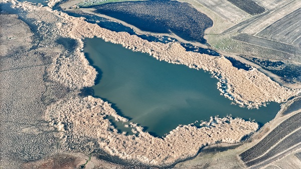 Foto - Karlar eridi kuşlar akın etmeye başladı