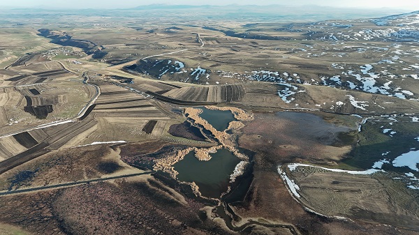 Foto - Karlar eridi kuşlar akın etmeye başladı
