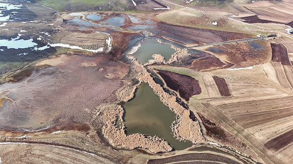 Foto - Karlar eridi kuşlar akın etmeye başladı