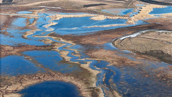 Foto - Karlar eridi kuşlar akın etmeye başladı