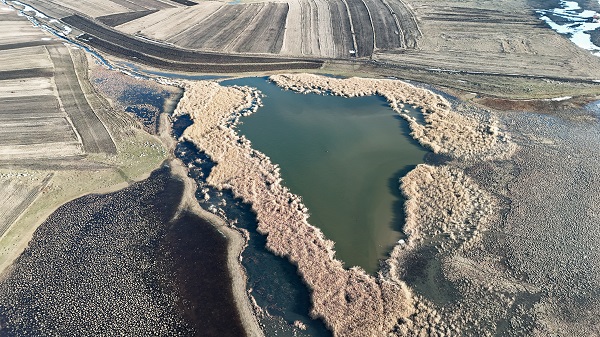Foto - Karlar eridi kuşlar akın etmeye başladı