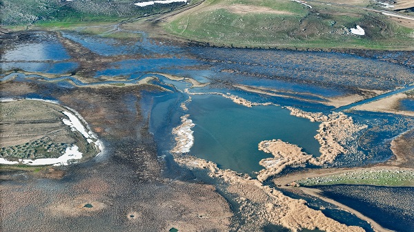 Foto - Karlar eridi kuşlar akın etmeye başladı