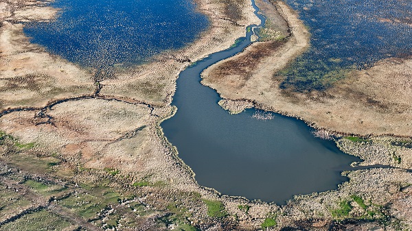 Foto - Karlar eridi kuşlar akın etmeye başladı