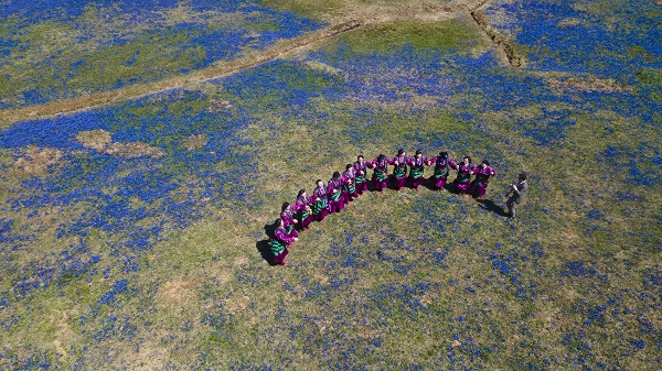 Foto - Karlar eridi "mavi yıldız"lar ortaya çıktı
