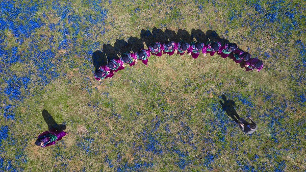 Foto - Karlar eridi "mavi yıldız"lar ortaya çıktı