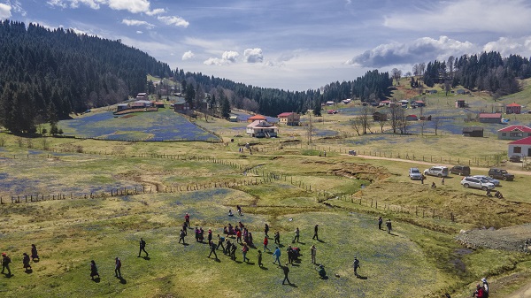 Foto - Karlar eridi "mavi yıldız"lar ortaya çıktı