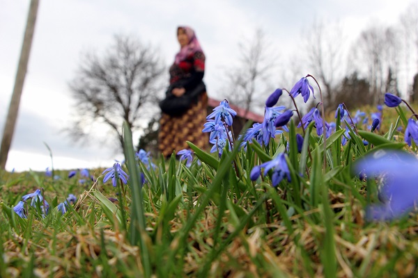 Foto - Karlar eridi Mor Yayla, maviye büründü