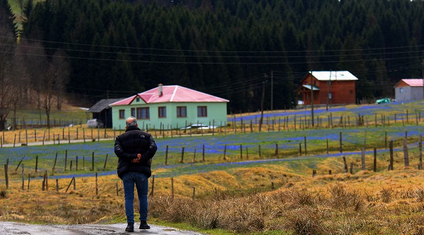 Foto - Karlar eridi Mor Yayla, maviye büründü