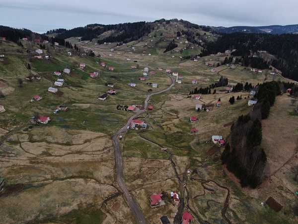 Foto - Karlar eridi Mor Yayla, maviye büründü