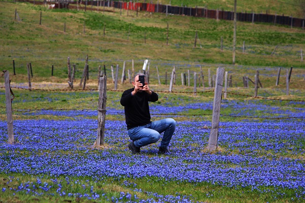 Foto - Karlar eridi Mor Yayla, maviye büründü