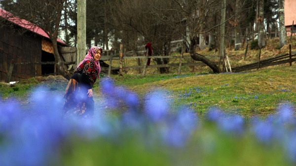 Foto - Karlar eridi Mor Yayla, maviye büründü