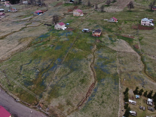 Foto - Karlar eridi Mor Yayla, maviye büründü