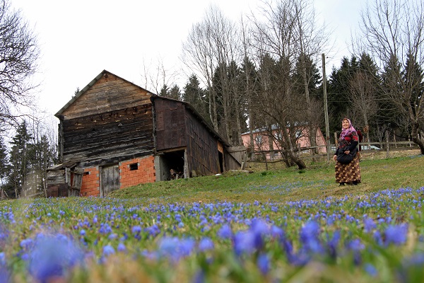 Foto - Karlar eridi Mor Yayla, maviye büründü
