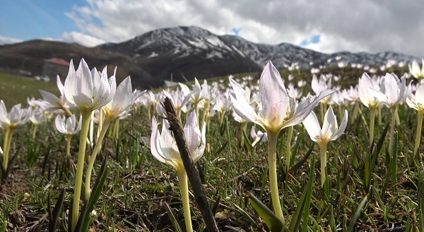 Foto - Karlar eridi tabloluk manzaralar ortaya çıktı