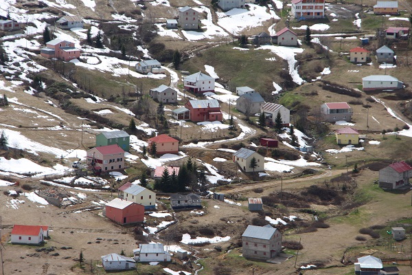 Foto - Karlar eridi yayla şenlendi! 