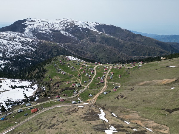 Foto - Karlar eridi yayla şenlendi! 