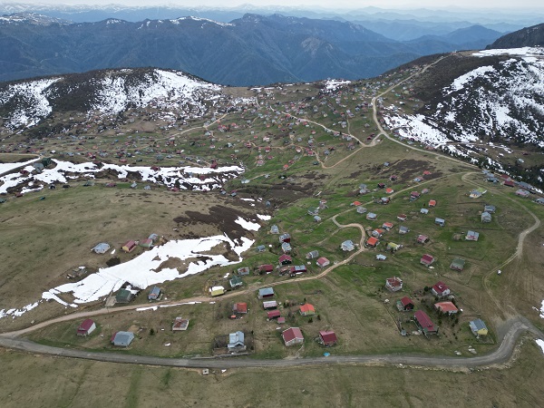 Foto - Karlar eridi yayla şenlendi! 